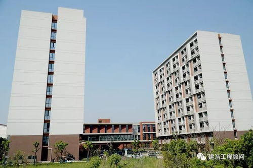 走進松江大學(xué)城 探秘上海重大工程建設(shè)下的最美校園新篇章