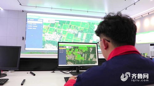 智慧大腦賦能田間地頭，聊城全面推廣科技種田新圖景